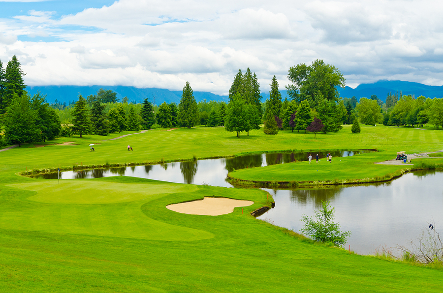 Maintaining Golf Course Water Features with Less Chemicals Soil/&/Water ...