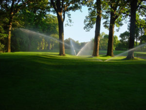 irrigation