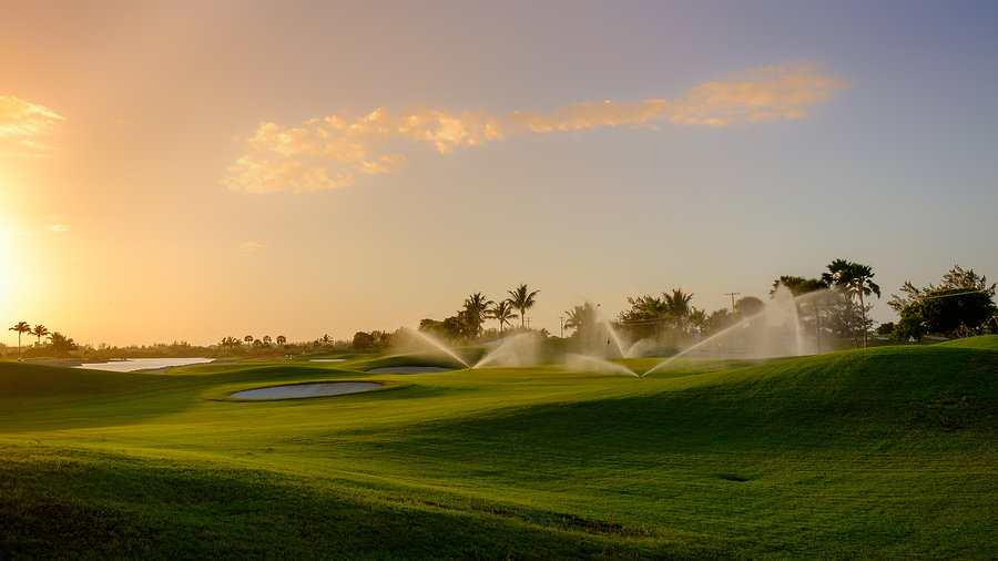 irrigation system