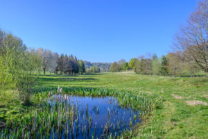 golf course management