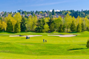 beautiful fairways