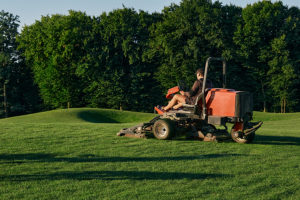 turfgrass care secrets